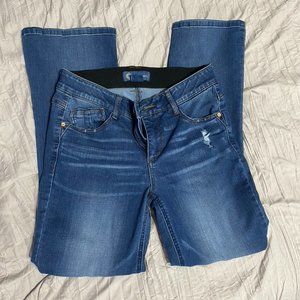 DEMOCRACY Kathryn Ab Solution Itty Bitty Bootcut Distressed Jean